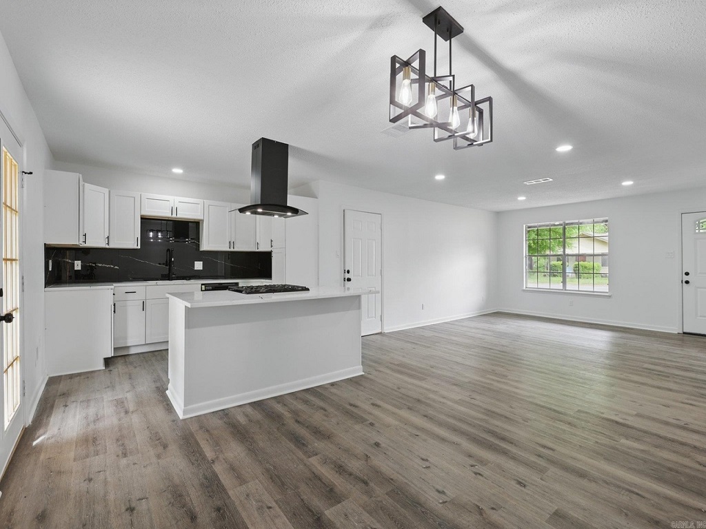 Modern Kitchen Remodel